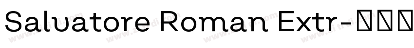 Salvatore Roman Extr字体转换